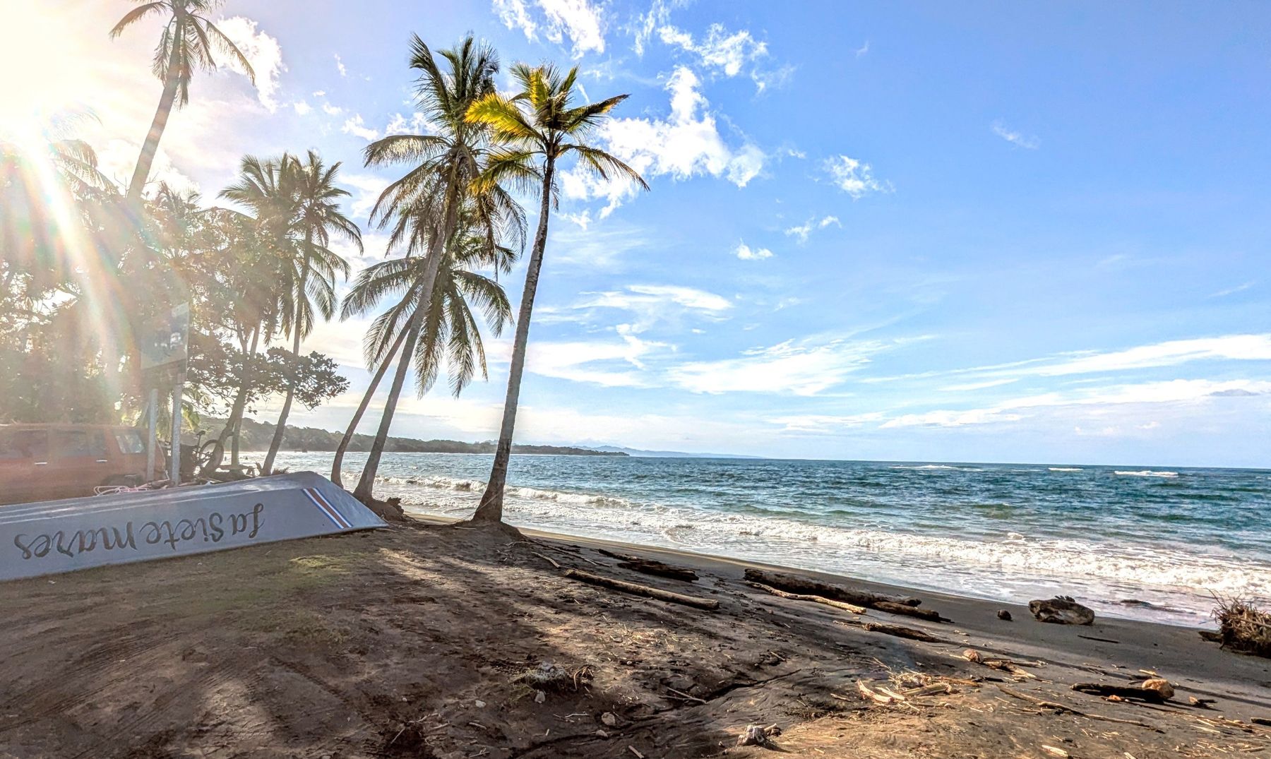 Palm trees leaning over a Caribbean beach in Costa Rica